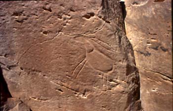 55-Eselpetroglyphe
